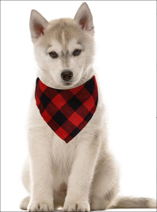 Red Buffalo Plaid Bandanas